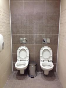 sochi-twin-toilets